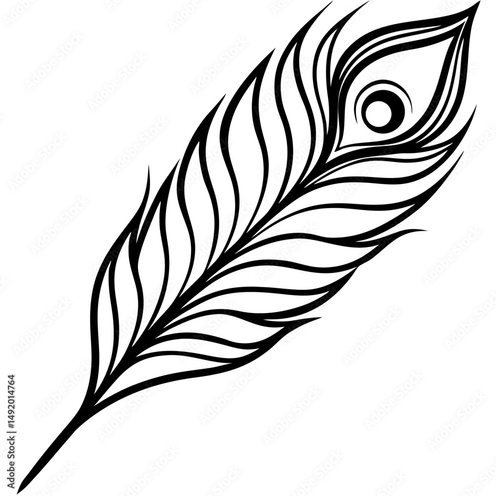 Obraz premium Peacock Feather line art vector