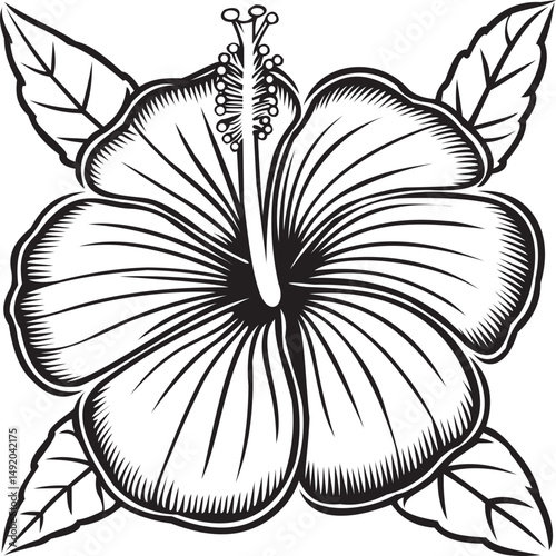 Detailed black and white vector illustration of a hibiscus flower, complete with leaves. This design features an engraved or etched style, giving it a classic and elegant look. Ideal for botanical ill