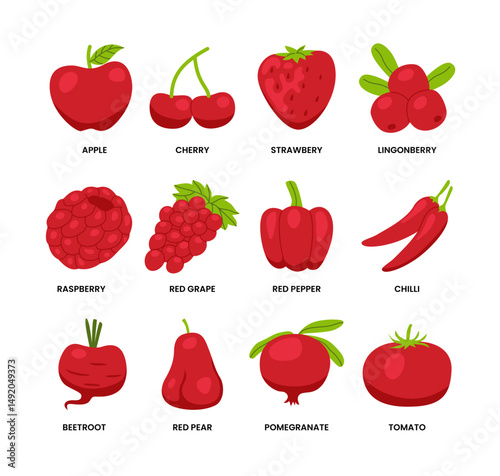 Set of Red Fruits Set Collection, Healthy Fruits Organic Foods, Labeled Apple, Beetroot, Cherry, Chili, Lingonberries, Pomegranate, Raspberry, Red Grapes, Red Pear, Red Pepper, Strawberry, Tomato