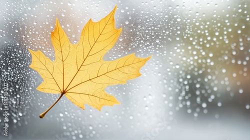 Vivid yellow maple leaf resting on a misty glass window, raindrops forming delicate patterns as the cool autumn light filters through. A cozy, nostalgic scene evoking the beauty of the fall season.