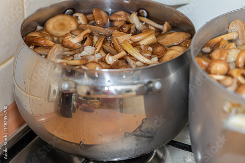 Delicious honey mushrooms in a ceramic plate . Honey fungus (Armillaria mellea) mushrooms in the bowl. Selective focus. Shallow depth of field.Mushrooms in a saucepan.