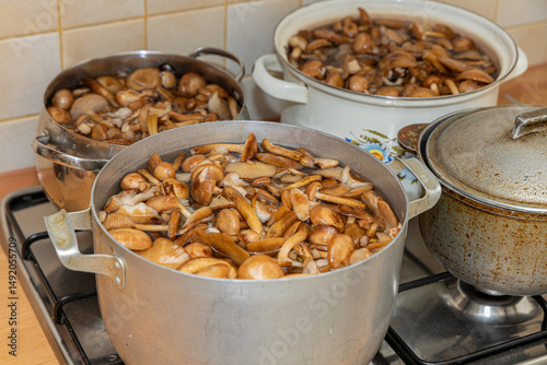 Delicious honey mushrooms in a ceramic plate . Honey fungus (Armillaria mellea) mushrooms in the bowl. Selective focus. Shallow depth of field.Mushrooms in a saucepan.