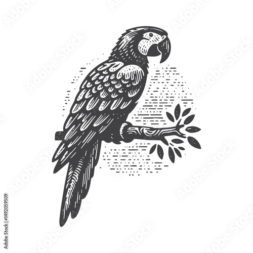 Vintage Hand-Drawn Macaw with Sitting on Tree Limb Illustration – Tropical Bird Engraved Style Vector for T-Shirts, Posters, Stickers, and Exotic Themes Apparel