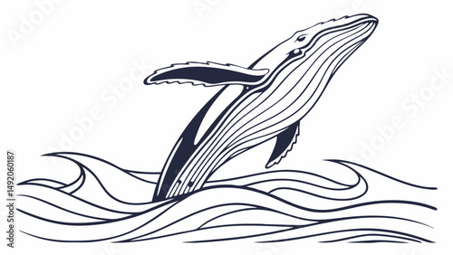 Dynamic Black and White Line Art Illustration of a Humpback Whale Breaching from Ocean Waves