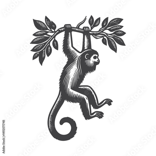 Vintage Hand-Drawn Howler Monkey Hanging from Branch Illustration – Jungle Animal Engraved Style Vector for T-Shirts, Posters, Stickers, and Wildlife Themes Apparel