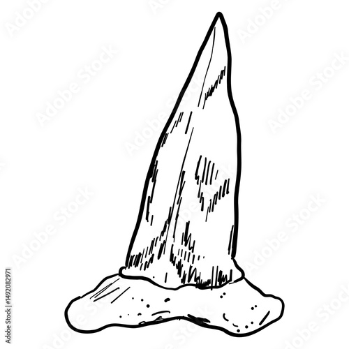 Shark tooth sketch tattoo, megalodon line doodle sharp silhouette. Jaw teeth fossil, textured retro symbol. 