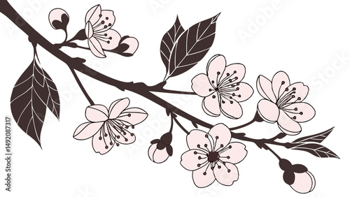 Simple Elegant Pink Cherry Blossom Branch Illustration Spring Nature Floral Vector Art with Delicate Flowers and Buds