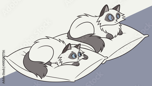 Two Cute Ragdoll Cats on Pillows Simple Illustration Drawing