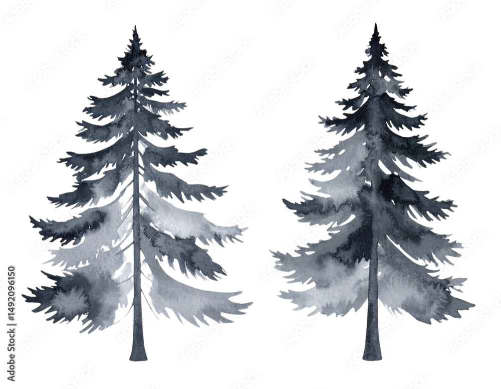 Obraz premium Set of green pine trees on white background