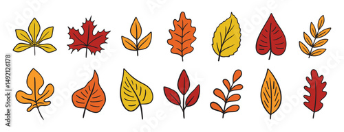 autumn leaves different trees doodle hand drawn icon set. Fall leaves colorful cartoon drawing line clipart symbol collection