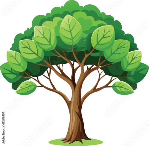 Indian peepal tree