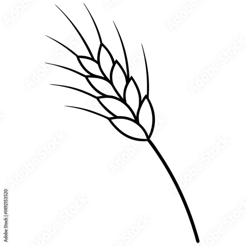 Single wheat ear outline illustration