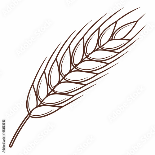 Single wheat ear graphic design element