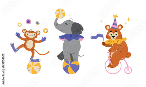 Enjoy the spectacle of circus animals performing tricks with colorful props, captivating audiences