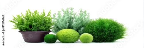 Lush Green Plants in Various Shapes and Sizes on White Background