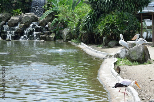 Photography Exotic Birds in Kuala Lumpur Bird Park, Malaysia
