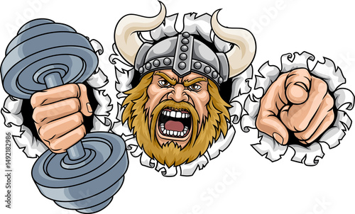 Viking Weight Lifting Gym M...