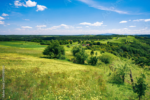 Fototapeta Naklejka Na Ścianę i Meble -  Idyllic rolling hills and green meadows stretching under summer sky