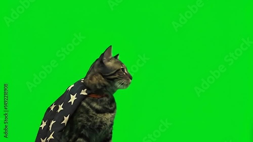 Black & White Cat Portrait Green Screen | Realistic Cinematic Award-Winning Render