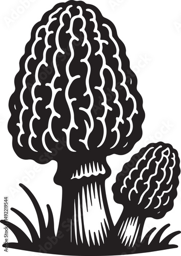 A stark monochrome illustration of two morel mushrooms amidst sparse grass tufts