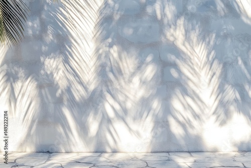 Soft shadows of palm leaves cast on a textured white wall above stone pavement creating a calm and serene outdoor scene