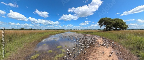 Obraz na płótnie Birds flocking by a tranquil water channel amidst grasslands under a bright sky w salonie