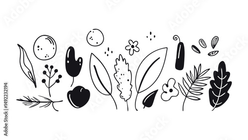 Collection of Floral and Botanical Elements. Set of Leaf, Foliage Wildflowers, Plants, Bloom, Leaves and Herb. Hand Drawn of Blossom Spring Season Vectors for Decor, Website, Wedding Card and Shop.