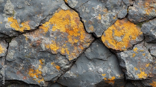 Obraz na płótnie Close-up of gray stone with yellow lichen patches. Cracks and texture visible w salonie
