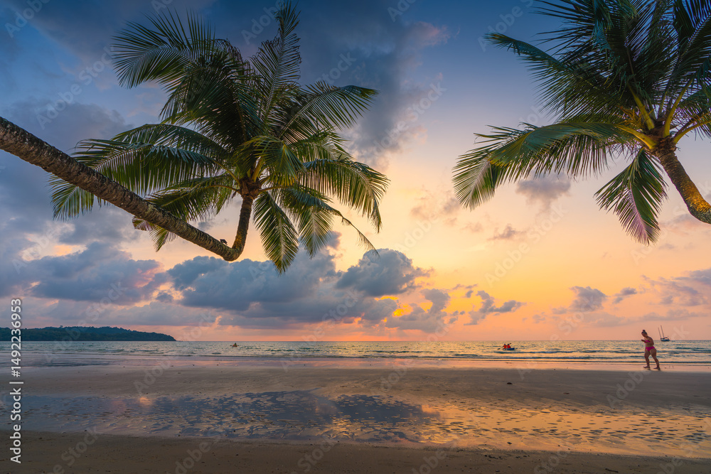 Fototapeta premium landscape with sea sunset on beach 