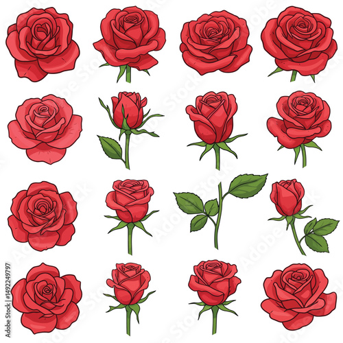 This beautifully crafted vector illustration features an elegant rose flower, showcasing intricate petal details and a timeless design. The image highlights the delicate curves and textures of the ros