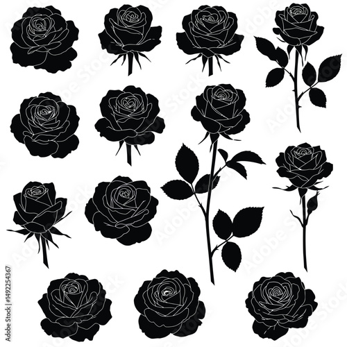 This beautifully crafted vector illustration features an elegant rose flower, showcasing intricate petal details and a timeless design. The image highlights the delicate curves and textures of the ros