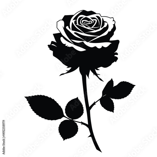 This beautifully crafted vector illustration features an elegant rose flower, showcasing intricate petal details and a timeless design. The image highlights the delicate curves and textures of the ros