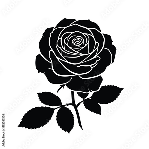 This beautifully crafted vector illustration features an elegant rose flower, showcasing intricate petal details and a timeless design. The image highlights the delicate curves and textures of the ros