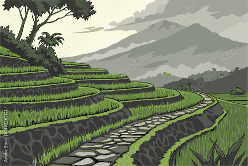 115 dramatic scenic landscape, lush vibrant green rice terraces, winding stone pathways, shrouded in misty clouds, mountains in the distance, tranquil serene atmosphere, organic natural textures, deta