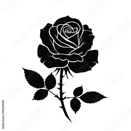 This beautifully crafted vector illustration features an elegant rose flower, showcasing intricate petal details and a timeless design. The image highlights the delicate curves and textures of the ros