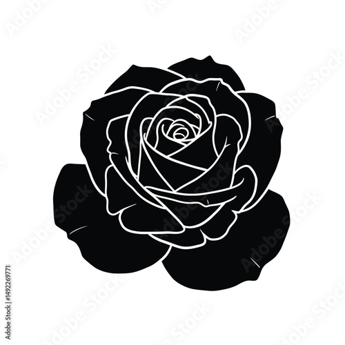 This beautifully crafted vector illustration features an elegant rose flower, showcasing intricate petal details and a timeless design. The image highlights the delicate curves and textures of the ros