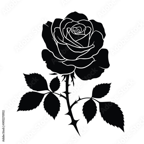 This beautifully crafted vector illustration features an elegant rose flower, showcasing intricate petal details and a timeless design. The image highlights the delicate curves and textures of the ros