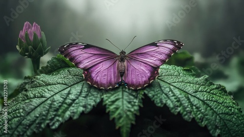 A purple butterfly with black spots rests on a green leaf.