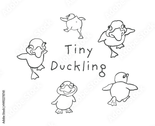 A collection of silly ducklings in a naive hand drawn doodle style with funny poses
