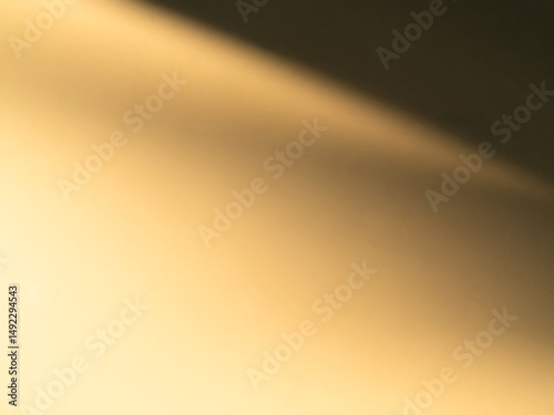 Beige background shadow leaves pastel brown abstract backdrop summer naturedesert, template travel luxury design wallpaper surface display for presentation product cosmetic, minimalist pattern