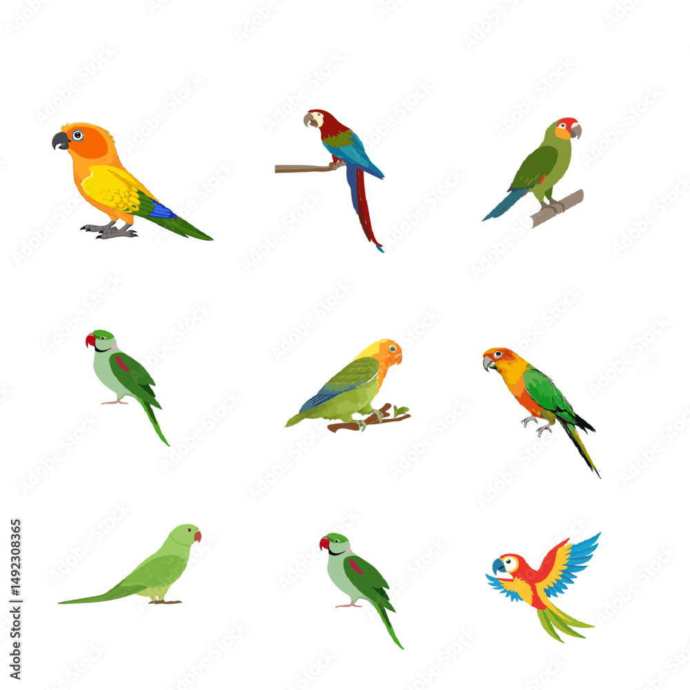 Obraz premium parrot vector image. Parrot Vector Art, Icons, and Graphics for Free Download