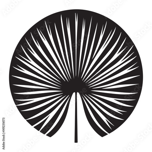 Palmetto Fan Palm Tree Leaf Vector Illustration Graphic Design