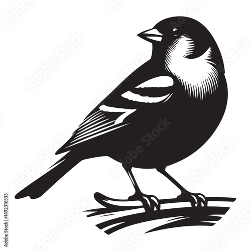 Detailed Sparrow Silhouette Illustration Bird Vector Graphic Art