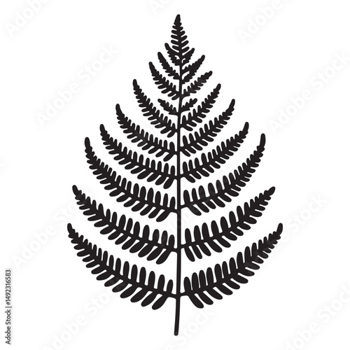 Detailed Fern Leaf Silhouette Illustration for Botanical Designs