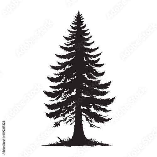 Pine Tree Silhouette Illustration for Nature Scenery and Forestry Projects