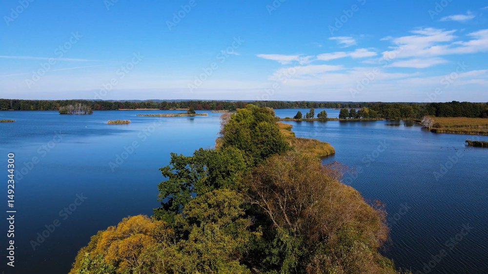 Obraz premium trees in water view from above lake