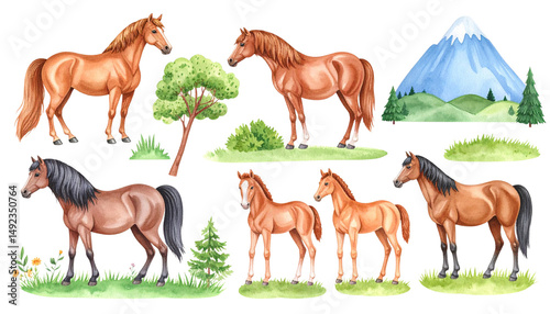 Horse and pony set, farm mammals with manes
