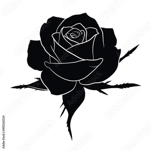 Ross Flowers vector art illustration.   roses isolated on white transparent background. a Ros vetch leaves vector silhouette artwork illustration.