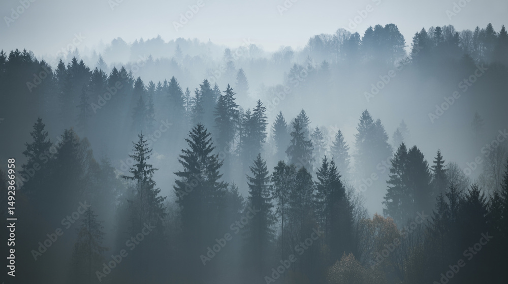 Naklejka premium Misty mountain forest landscape serene nature scene