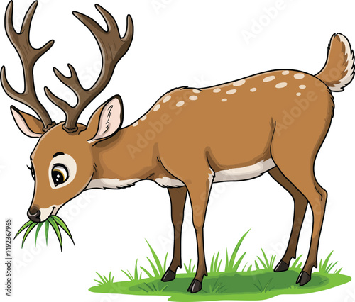 deer in the forest